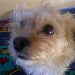 Barry - @barryberlin2011 - Instagram