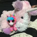 Barry & Bernard The Unicorn - @barry_and_bernard - Instagram
