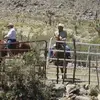 Barry Bernard - @barry.bernard - TikTok