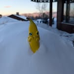 Barry Bernard Banana - @barrybernardbanana - Instagram