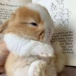 barry berry - @barry.berry.barry.berry - Instagram