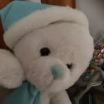 @barry_berry_berry - Instagram