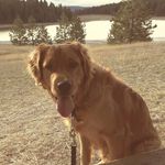 Barry Bevan - @barry.bevan - Instagram