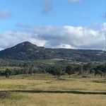 Barry Bicknell - @tenterfield_toiling - Instagram