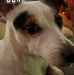 Barry Biggers - Facebook