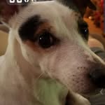 Barry Biggers - @barry.biggers - Instagram