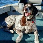Barry Bisbee - @barrybisbee - Instagram