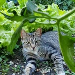 Barry Blair - @catfishslayer67 - Instagram