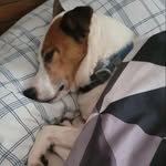 Barry Blair - @barryblair20 - Instagram