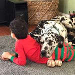Barry Blanken - @barryblanken - Instagram