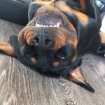 Barry ❤️ - @barryblauw - Instagram