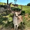 Barry Slusser - @barry.slusser - TikTok