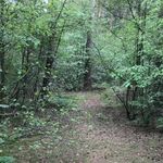Barry Blommestein - @barryblommestein - Instagram