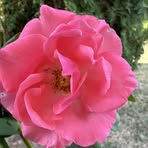 Barry Blum - Facebook