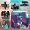 pony's huub_do_barry_blomke❤ - @barry_do_huub_blomke - TikTok