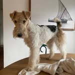 Barry - @barryvonblyth - Instagram