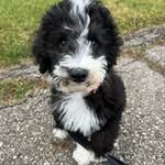 Barry Boe - @barry.boe - Instagram