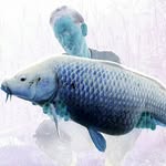 Barry Boer - @barryboer - Instagram