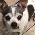 Barry Bonds - @barrybonds9923 - Instagram
