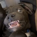 Barry Bonds Prado - @barry_thesilverlab - Instagram