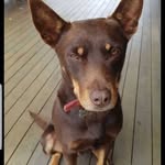 Barry Bones - @barrybones2021 - Instagram