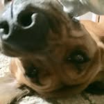 Barry - @barry_boos0 - Instagram