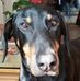 Barry Borg - Facebook