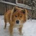 Barry Bortnick - Facebook
