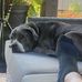 Borton Barry - Facebook