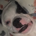 Barry The Boston Flash - @barrythebostonflash - Instagram