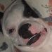 Barry The Boston Flash - Facebook
