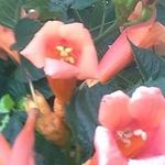 Barry Boswell - @boswellbarry - Instagram