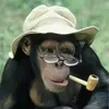 barryboswell838 - @barryboswell838 - TikTok