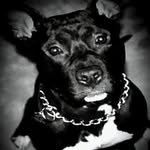 Barrie Boudreau - @boutrous311 - Instagram