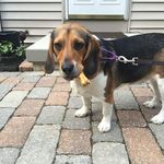 Barry Bowers - @barry.bowers.5 - Instagram