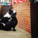 Barry Bowman - @lukapuka1 - Instagram