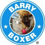 🐶 IM BARRY 🐶 - @barry_boxer - Instagram