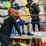 @barry.boxer - Instagram