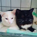 @barry_boxelaar - Instagram