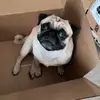 barrybox - @barryboxing - TikTok