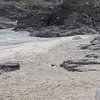 ConfusedFrog - @barryboyce2 - TikTok