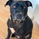 Barry Boyd - @barryboyd259 - Instagram
