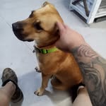 Barry Boyd - @barry.boyd.1690 - Instagram