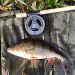 Barry Boyd - @barry.boyd06 - Instagram