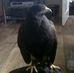 Barry Boyle - Facebook