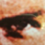 Barry Boyle - @barry_boyle666 - Instagram