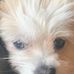 Brady Barry - Facebook