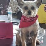 Barry Brashear - @barrybrashear - Instagram
