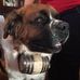 Barry Bratton - Facebook