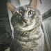 Barry Bratton - Facebook